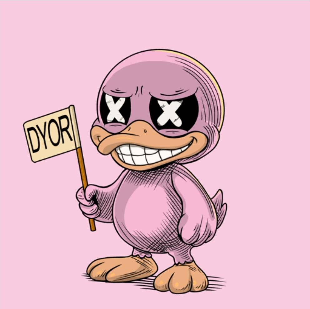 Duck